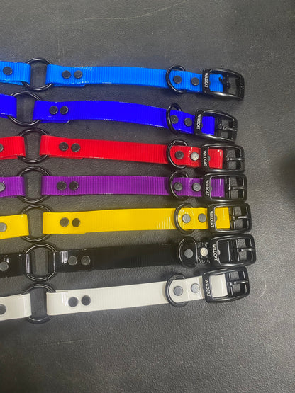 3/4 Dayglo Collars