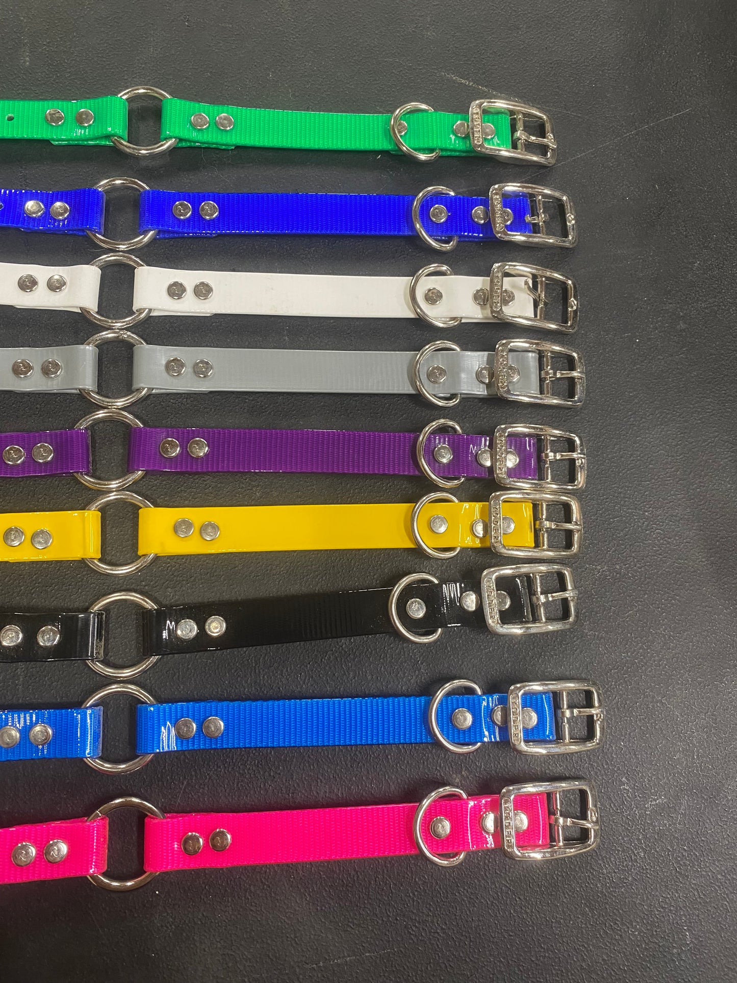 3/4 Dayglo Collars