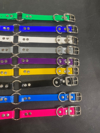 3/4 Dayglo Collars